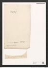 Nitzschia nicobarica Grun. (de-Toni-Nr.: Genus 47, Species 2022) Zeichnungen Sammlung Grunow (NHMW-BOT-W0371791)